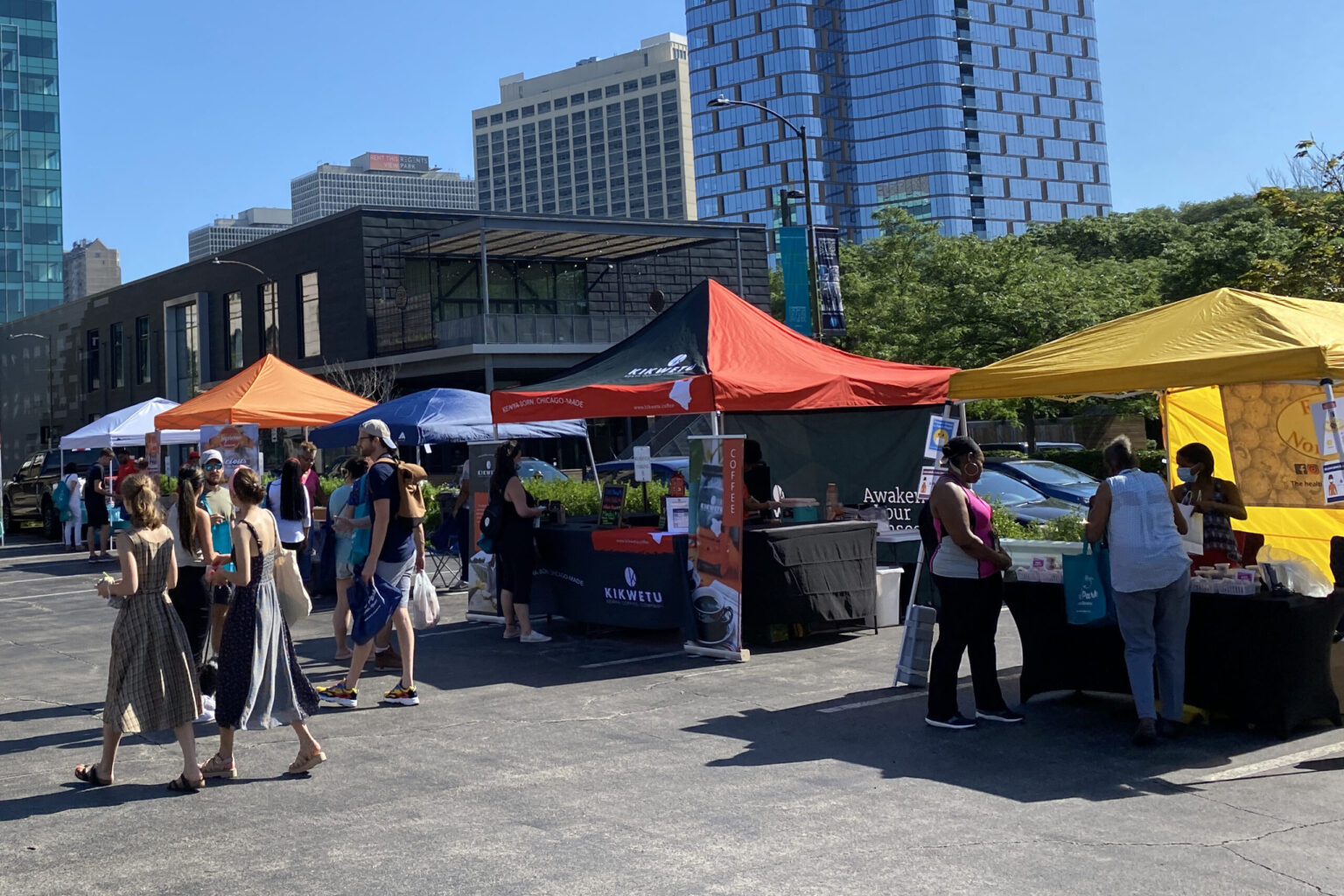 Home Downtown Hyde Park Chicago